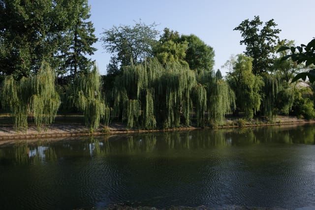 R0000053.JPG