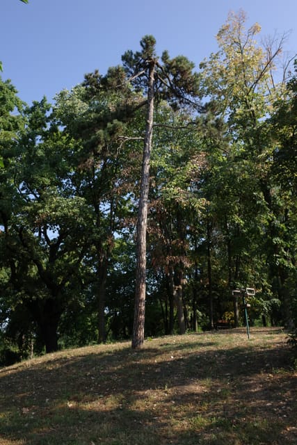 R0000065.JPG